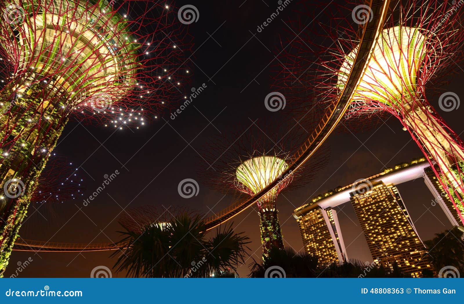 Light Tree stock image. Image of light, singapore, tree 48808363