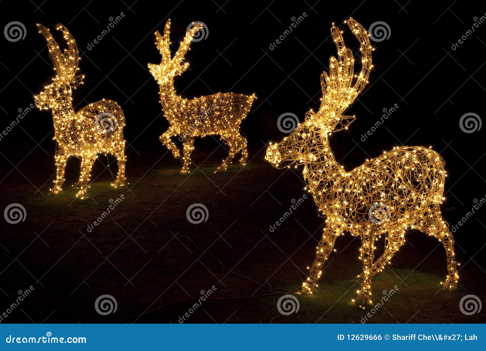 Lighted Reindeers for Christmas Stock Photo Image of decoration