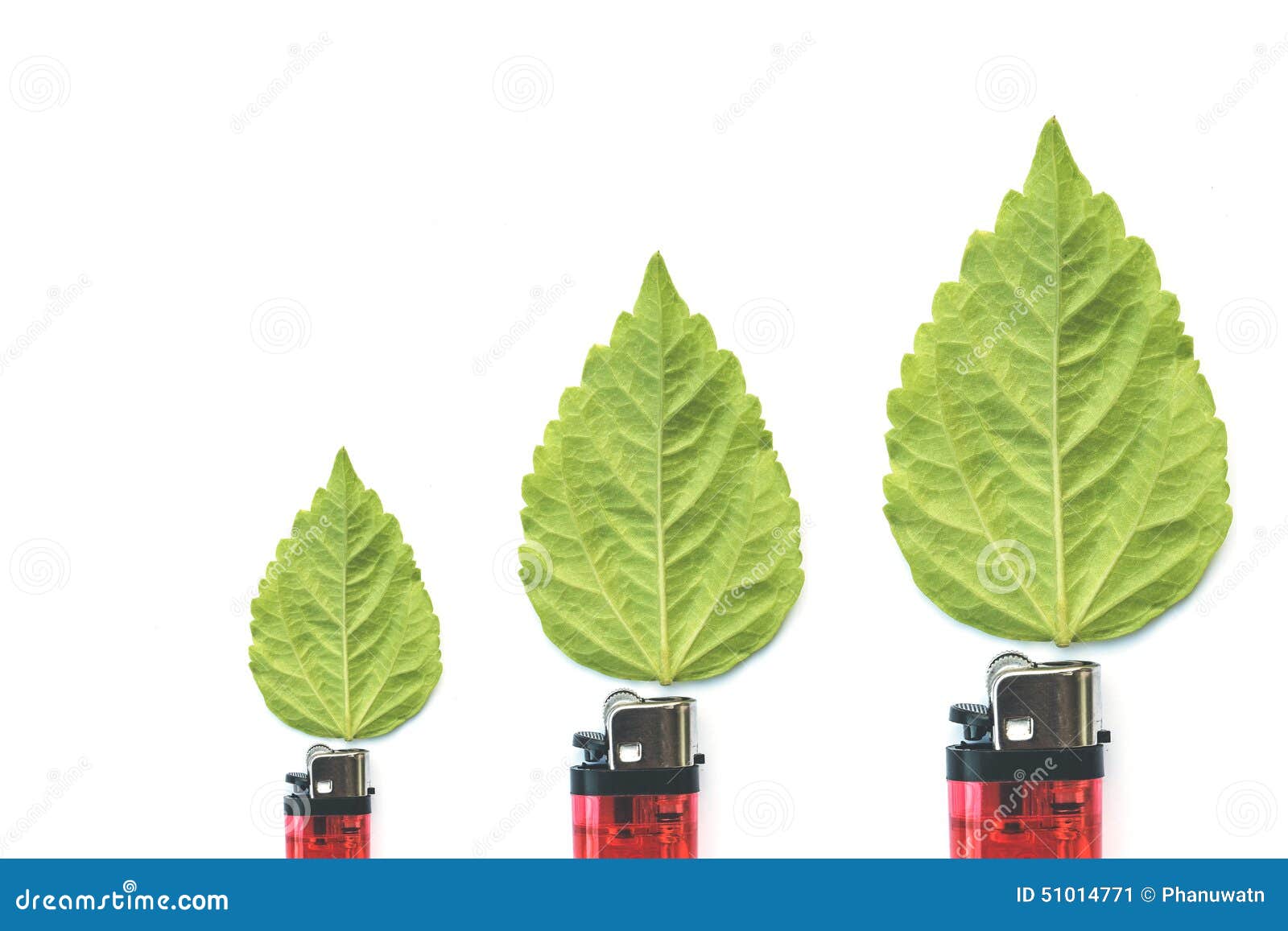 Lighter with Green Leaf, Burn Concept Stock Image Image of design