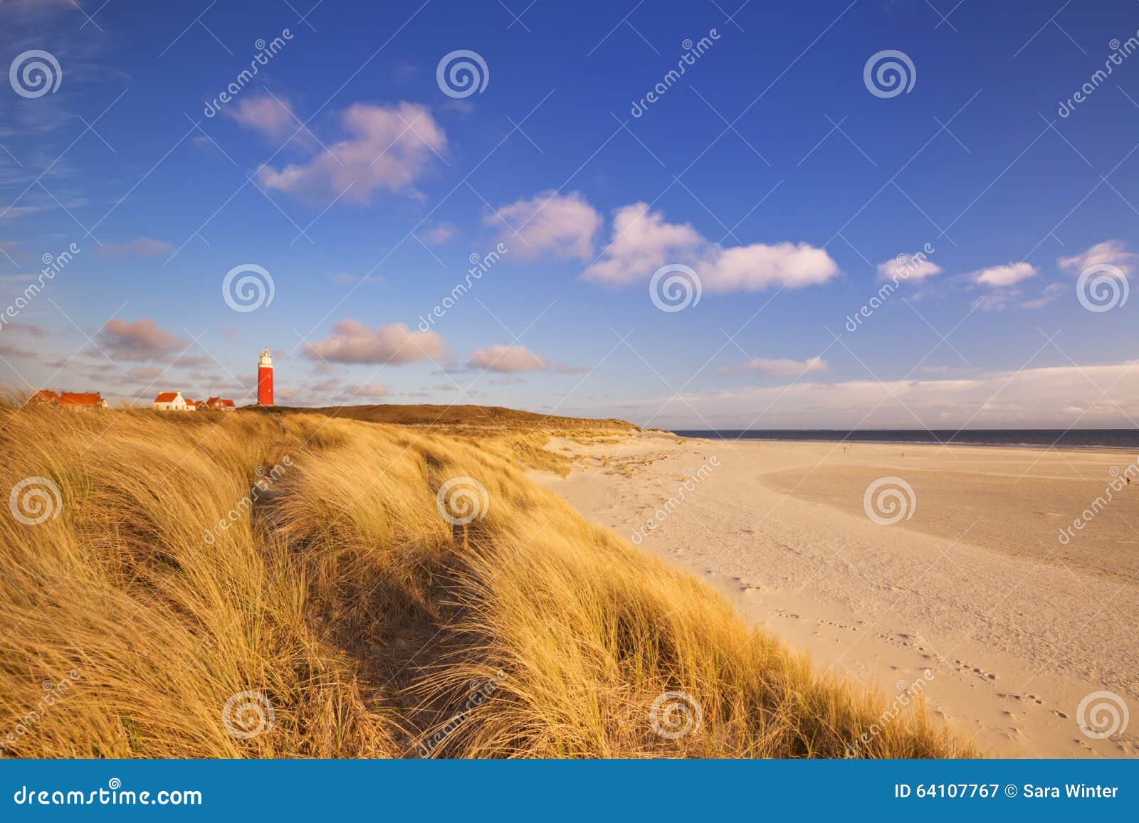 lighthouse on texel island in the netherlands