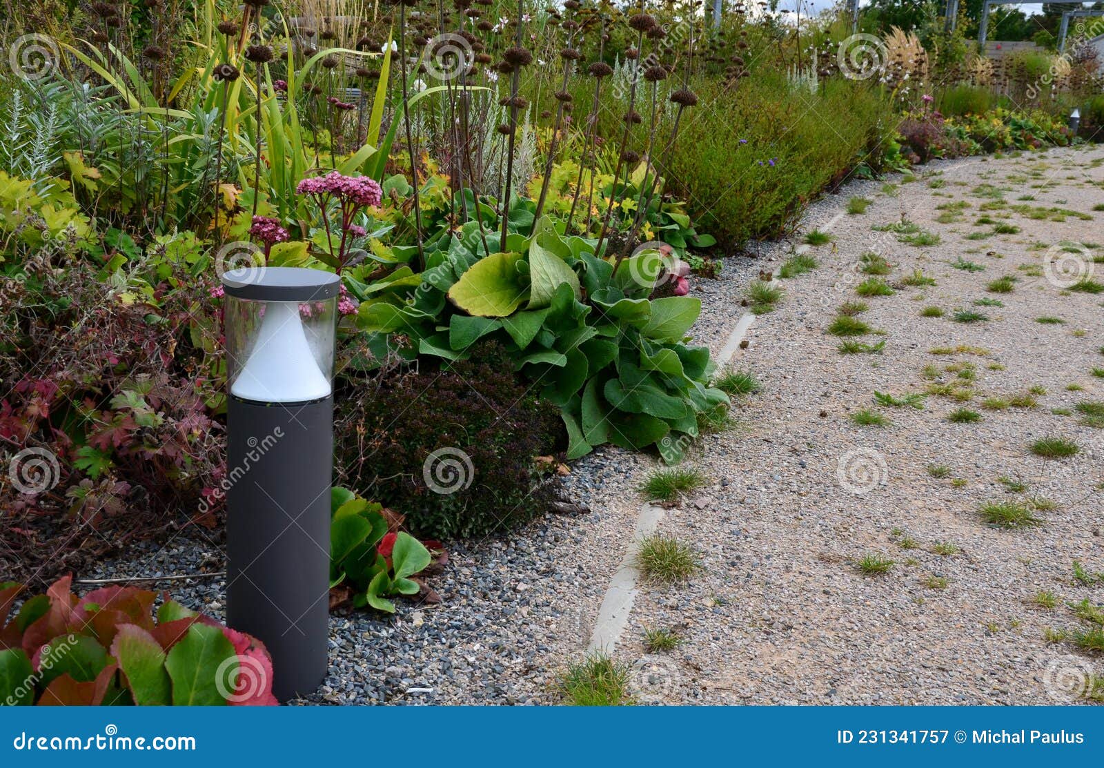 lighting with peel lights in the park by the road in a flowerbed of perennials. it illuminates the road at night and makes a roman