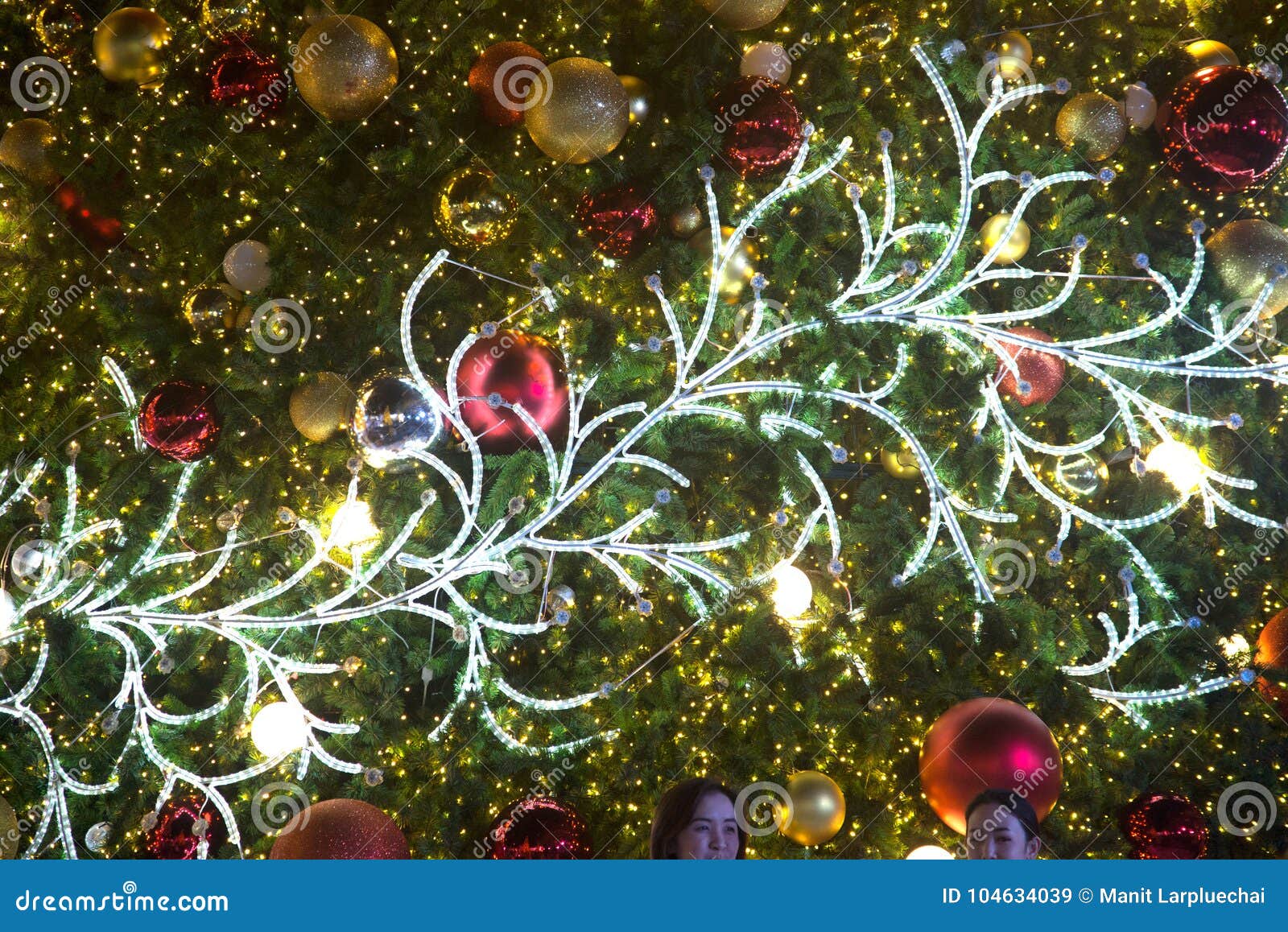 The Lights are Decorated by Branches of Trees Decoration at Christmas