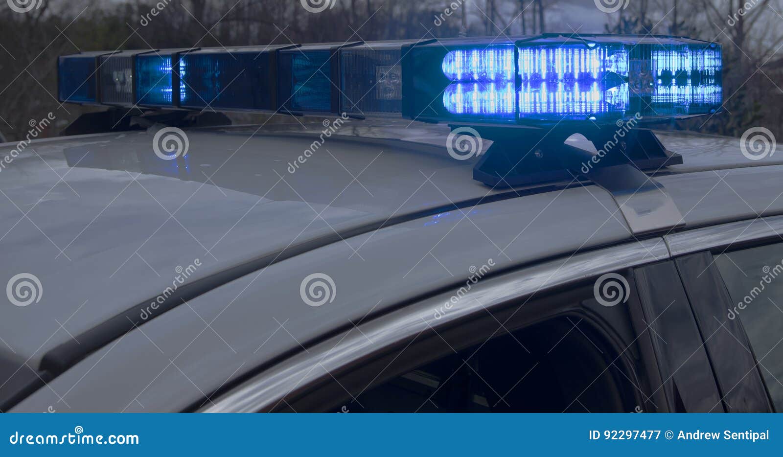 Lights on a Marked Police Vehicle Stock Image Image of crime, driving