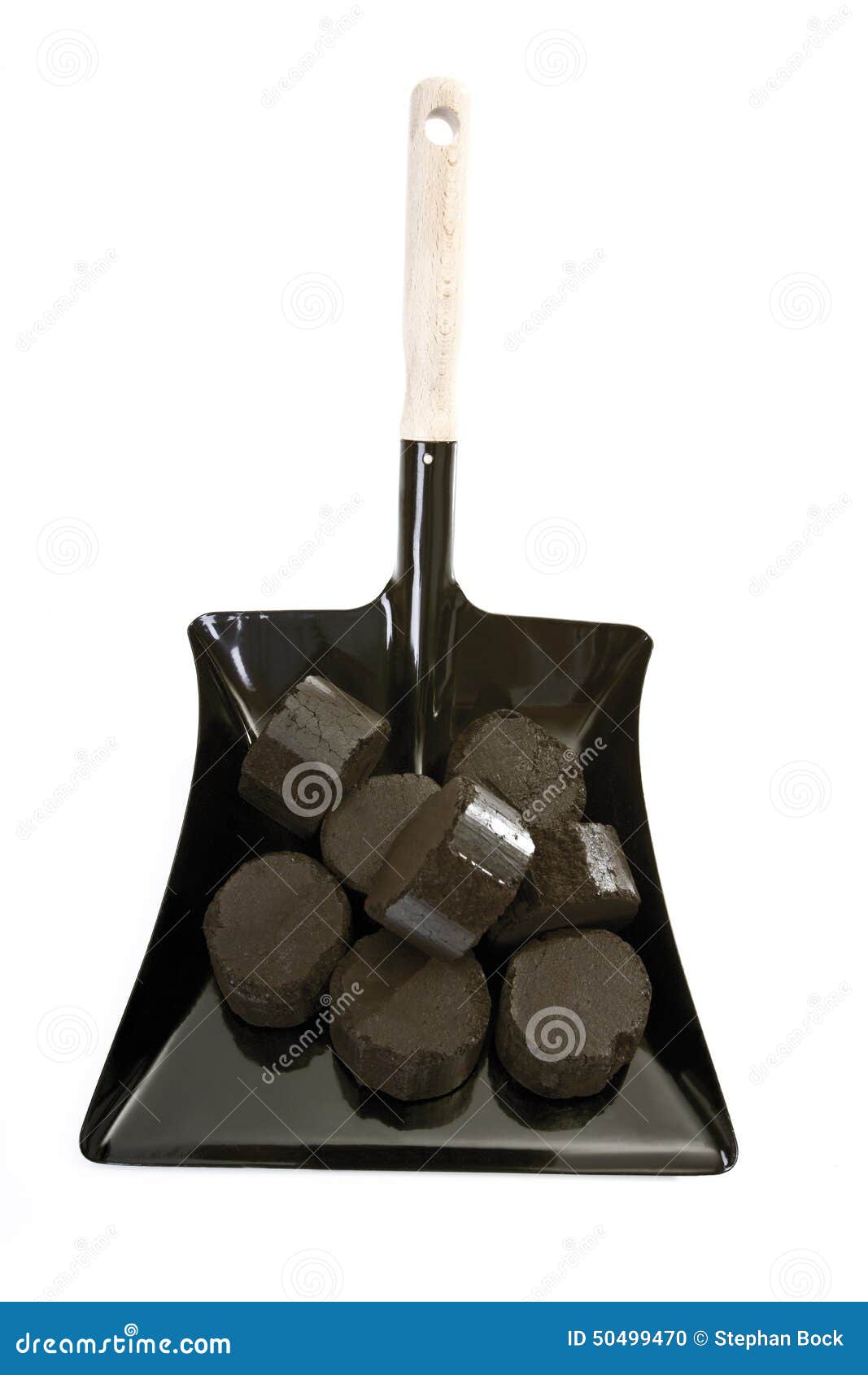 Lignite Briquettes on Dustpan Stock Photo - Image of brown