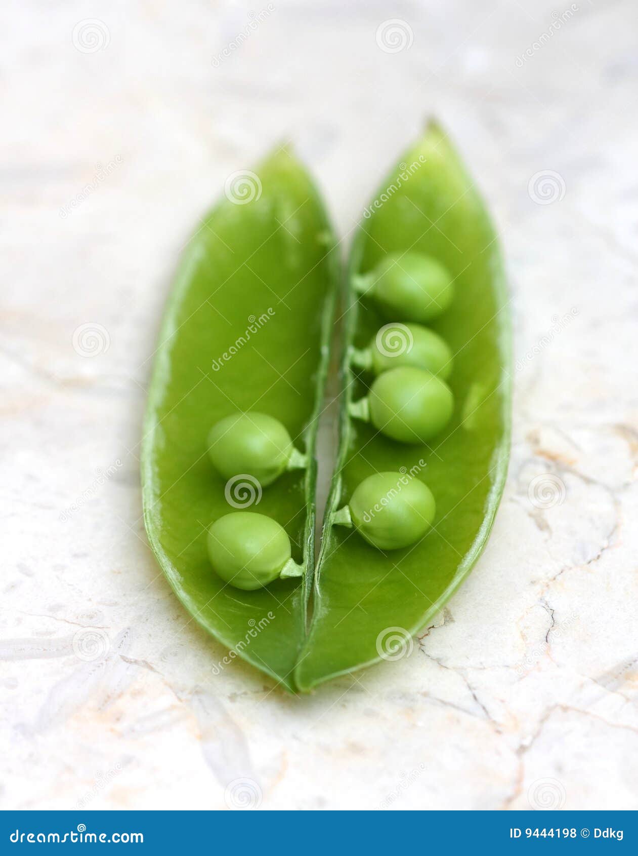 https://thumbs.dreamstime.com/z/like-two-peas-pod-9444198.jpg