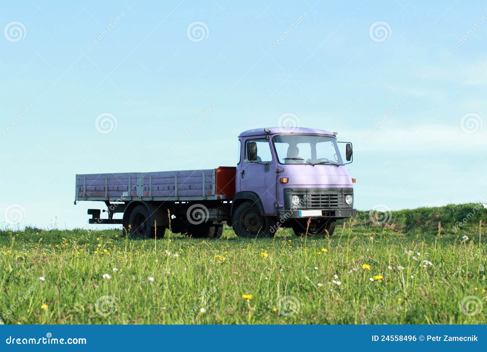 lila truck