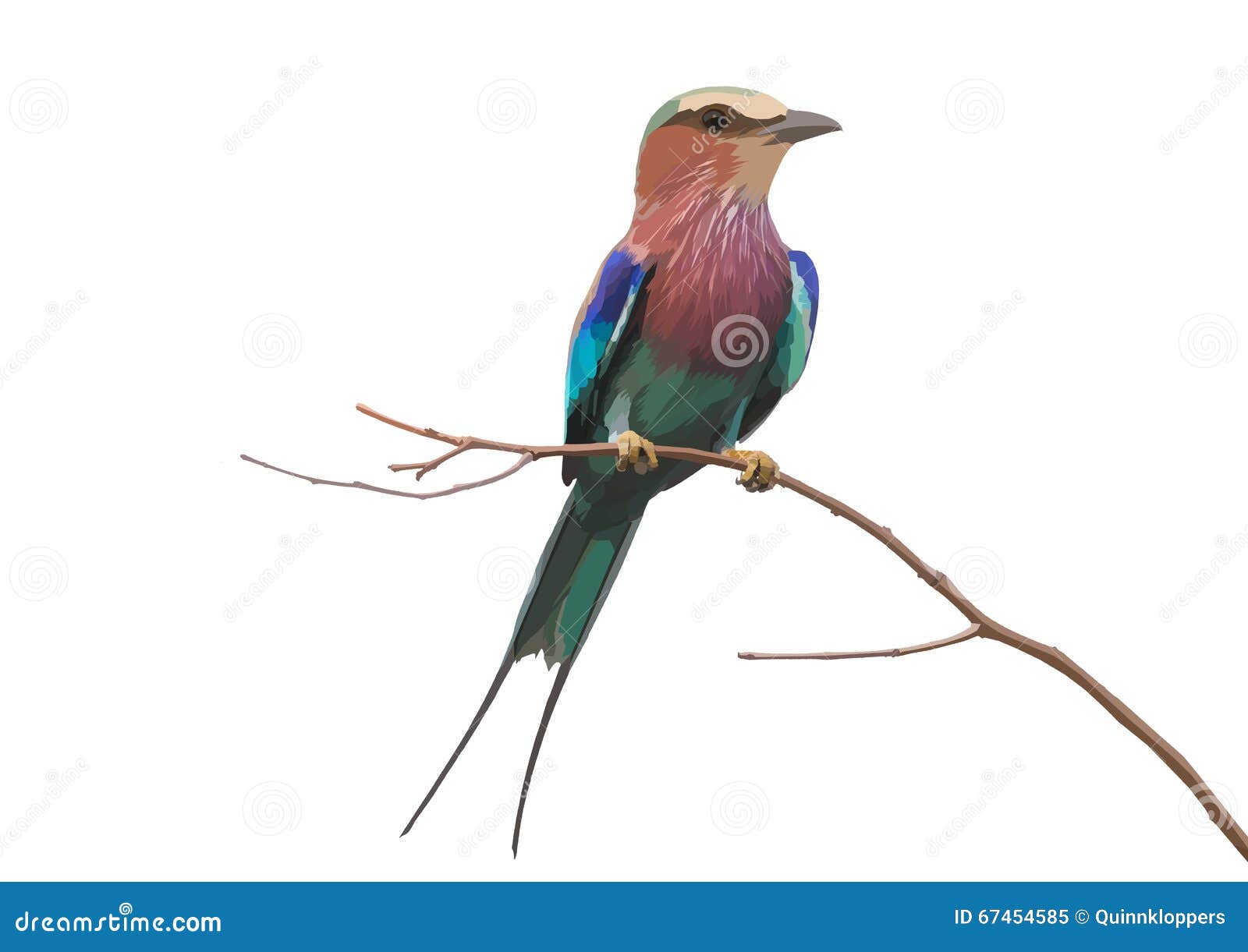 lilac - breasted roller