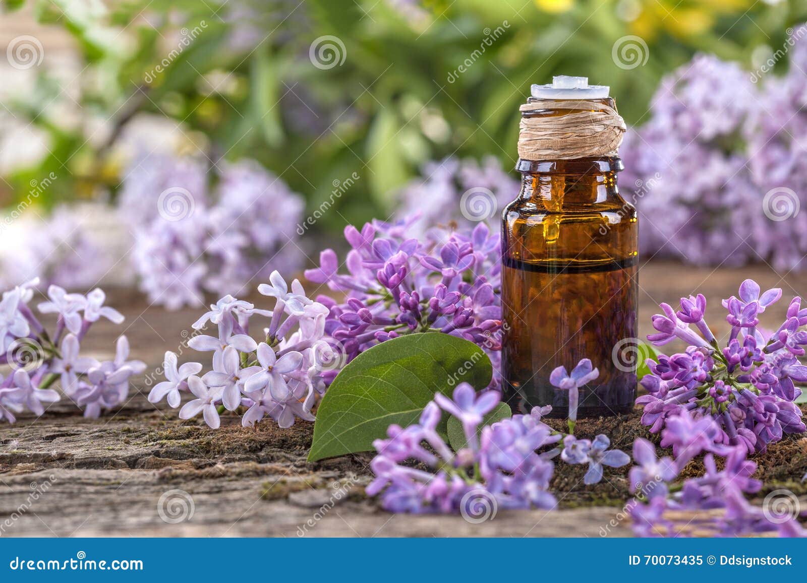 Lilac essential oil stock image. Image of medicinal, essential 70073435
