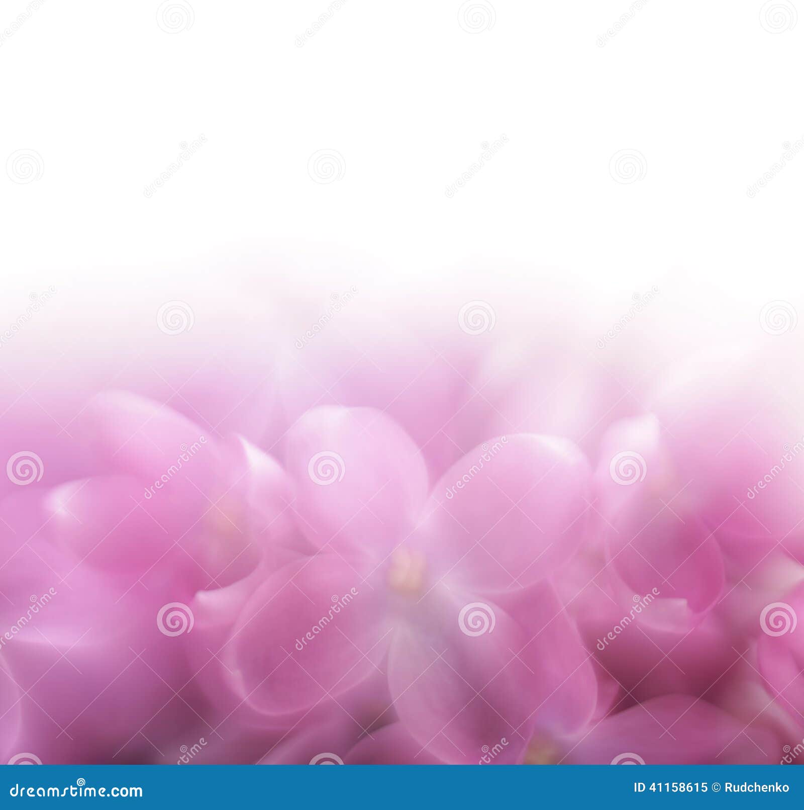 lilac flower background. lensbaby soft focus len