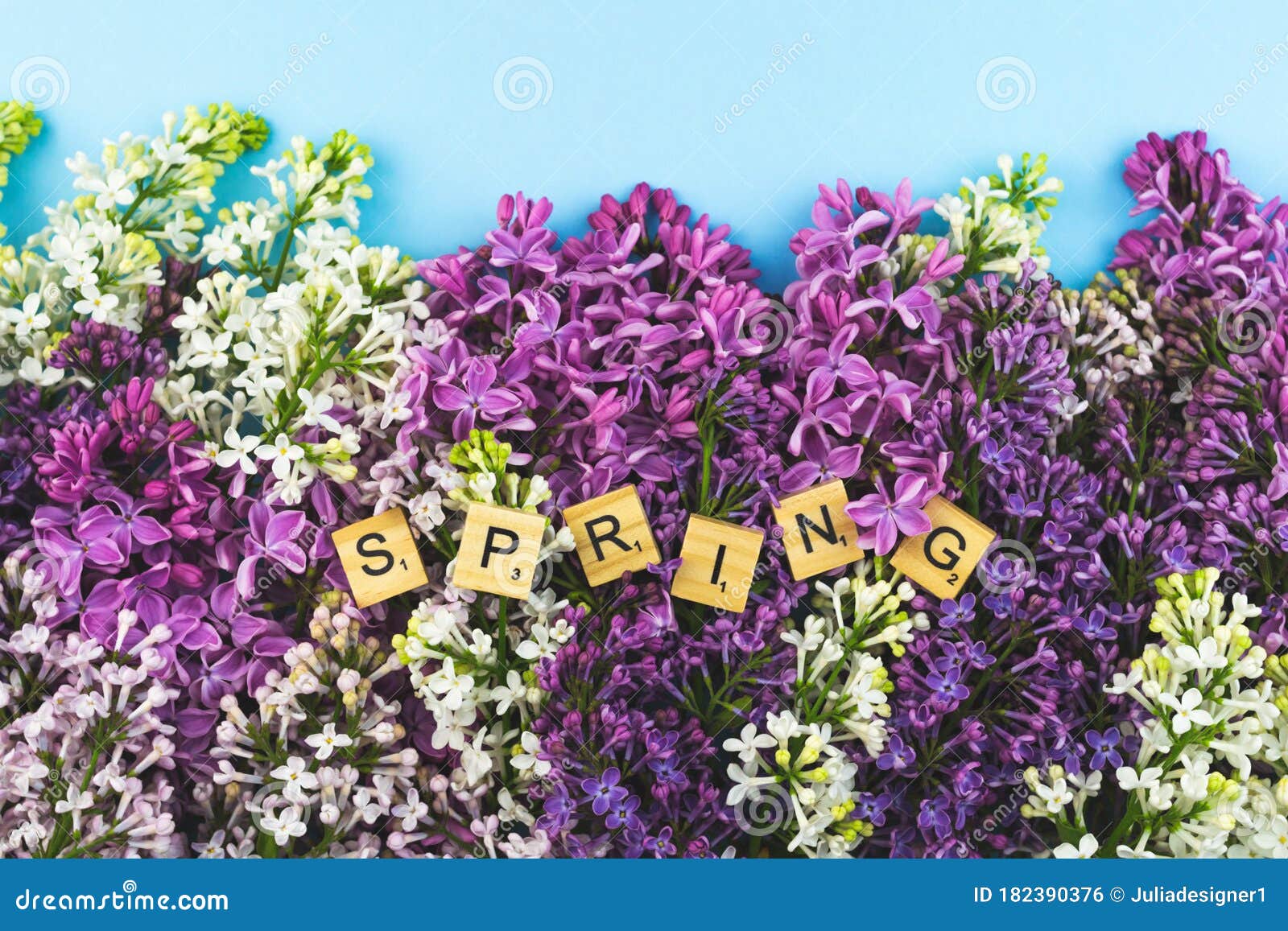 lilac flower bloom background. spring wooden lettres tex on blue background. closeup blossom border flat lay