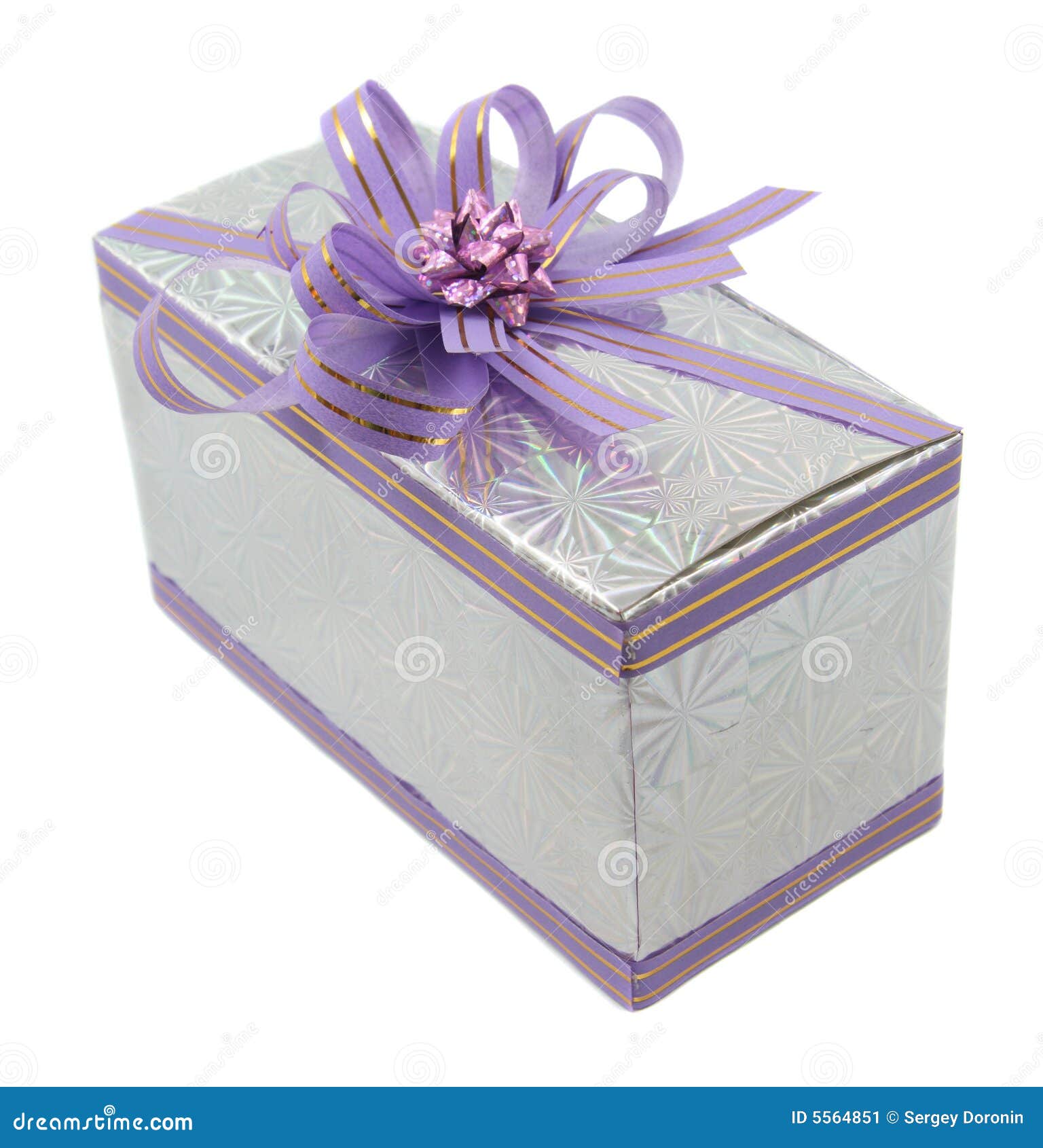 Lilac Gift Isolated on White Stock Image Image of date, greeting 5564851