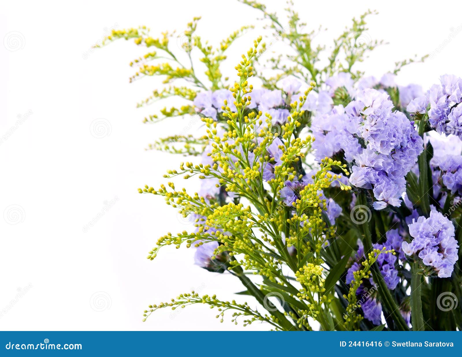 Lilac and yellow flowers stock photo. Image of passion 24416416