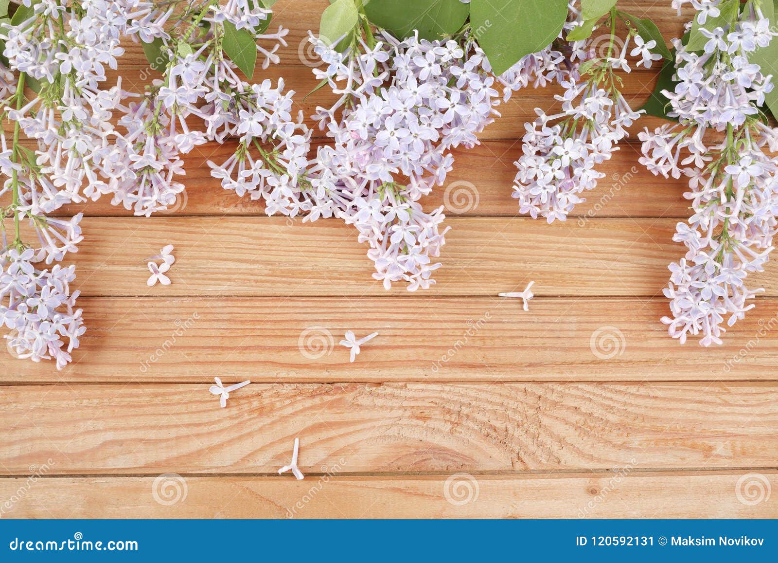 Lilaclilac On A Wooden Background Stock Image Image Of Floral Images, Photos, Reviews