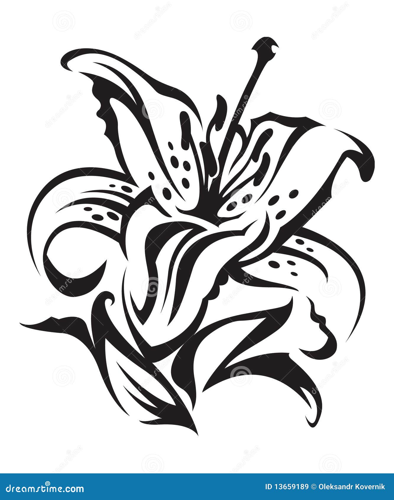 Lilie vektor abbildung. Illustration von nave, blüte - 13659189