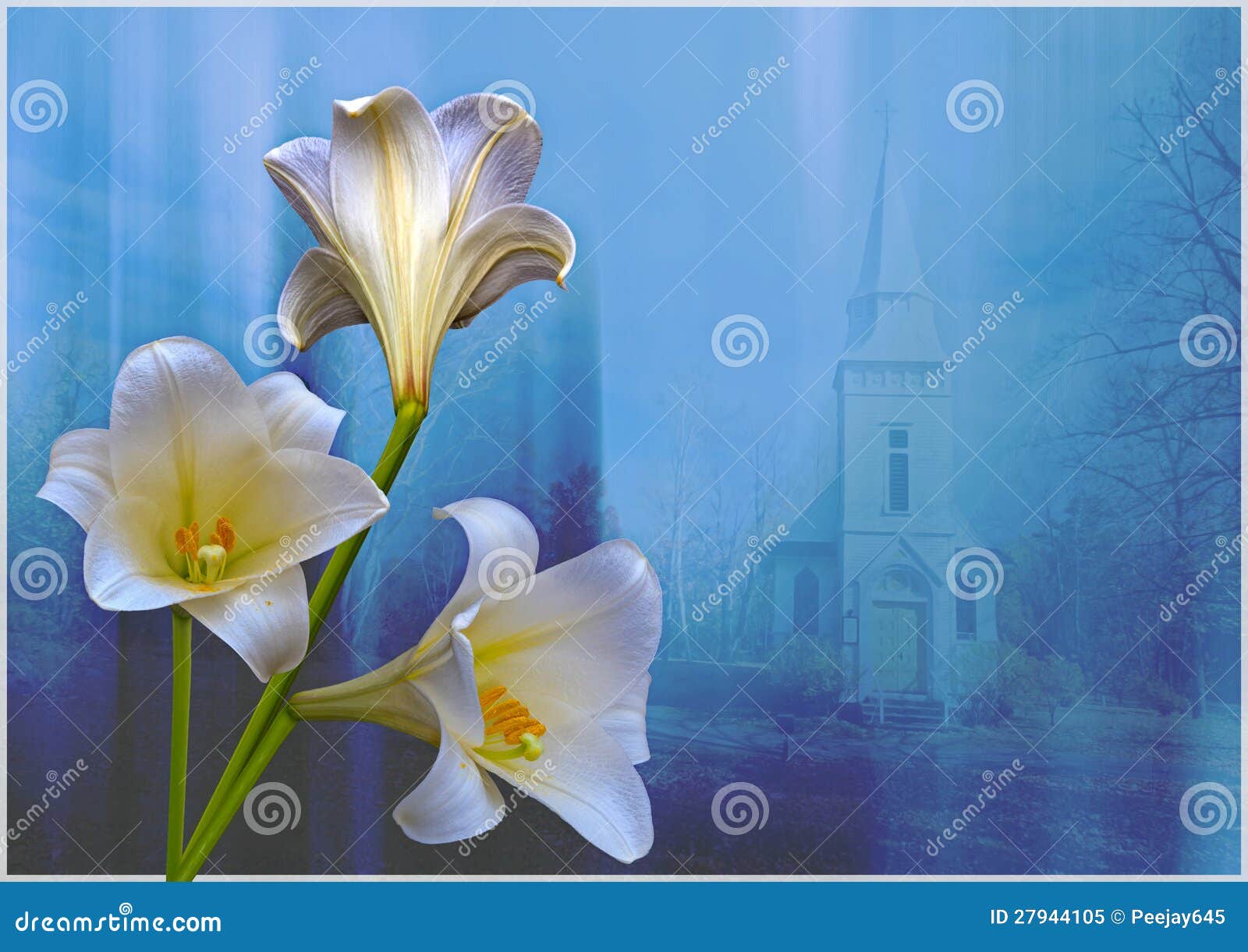 lilies and church