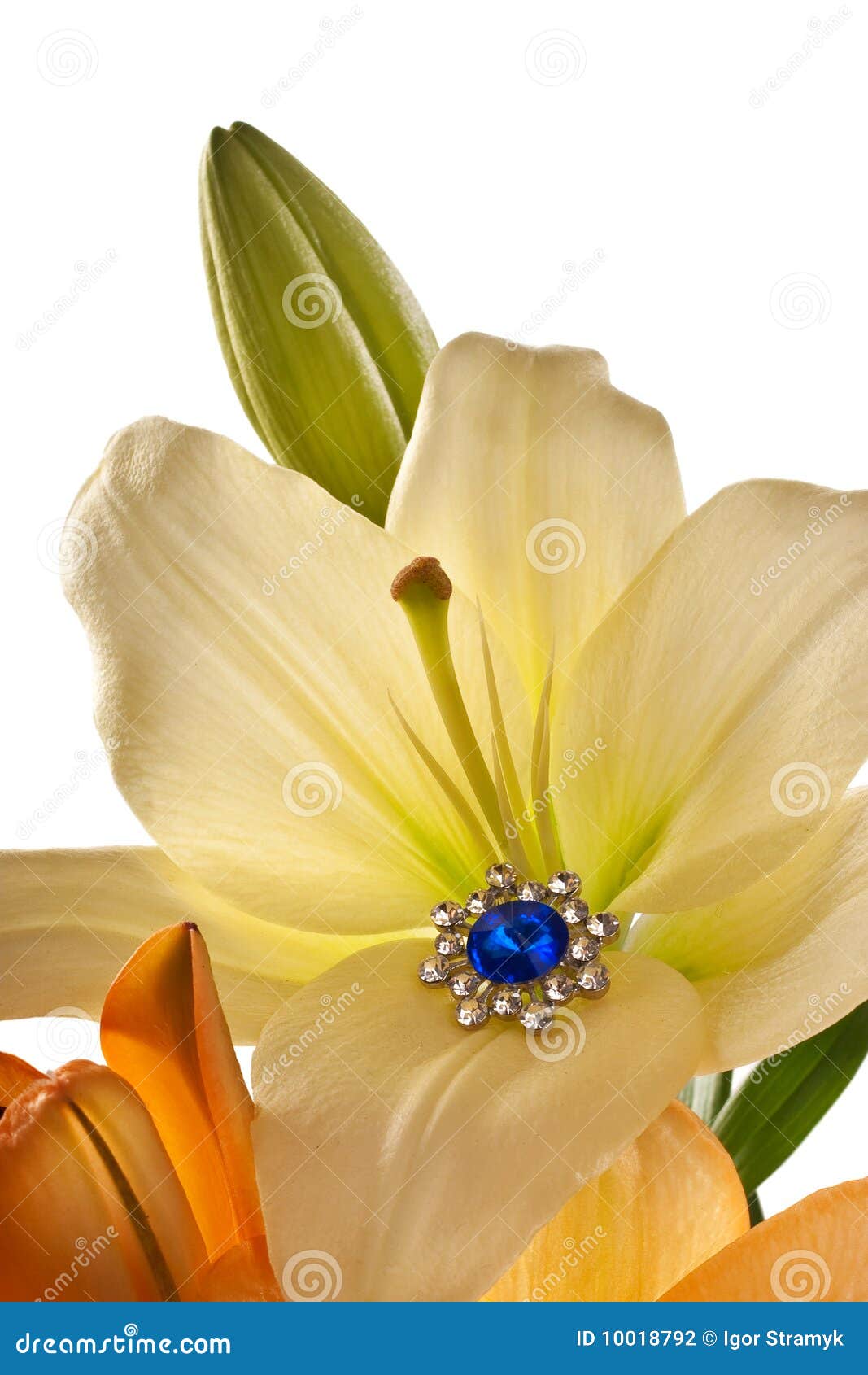Lilies and Earring with Blue Gem Stock Photo Image of color, elegant