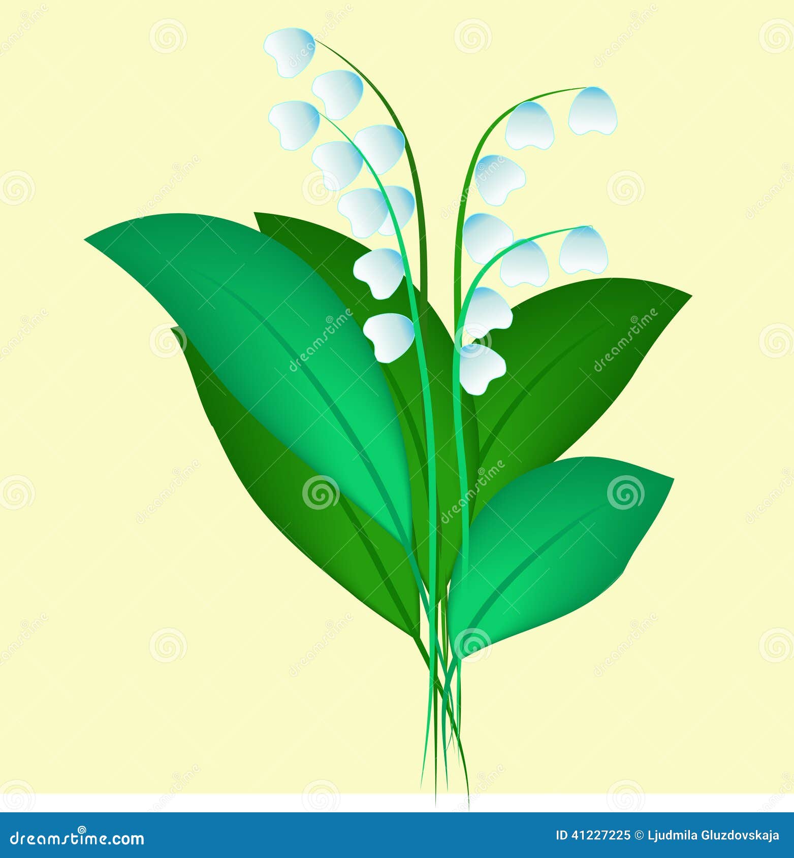 Lilies of the valley stock illustration. Illustration of leaves - 41227225 