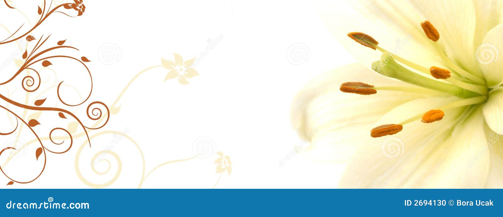 Lily banner stock illustration. Illustration of gerbera 2694130