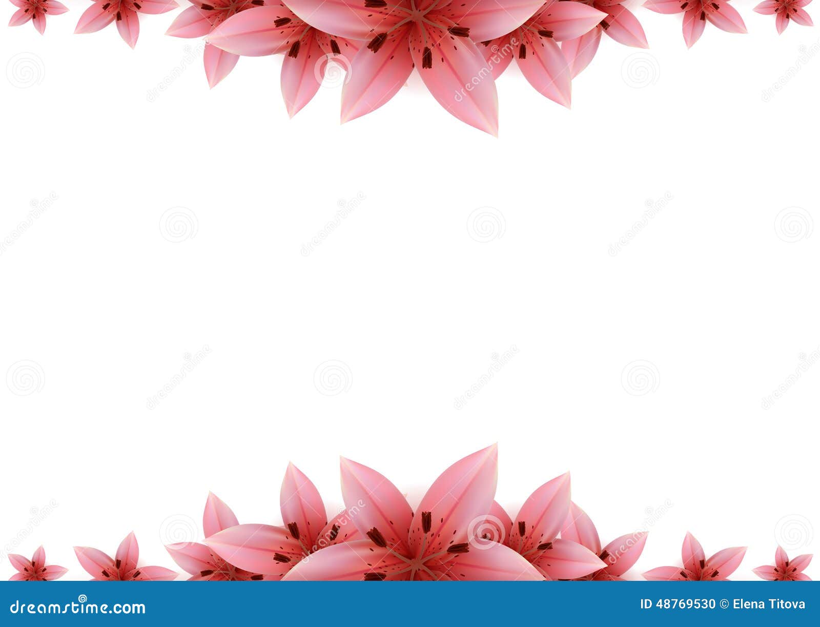 Lily Banner stock vector. Illustration of cover, cartoon 48769530