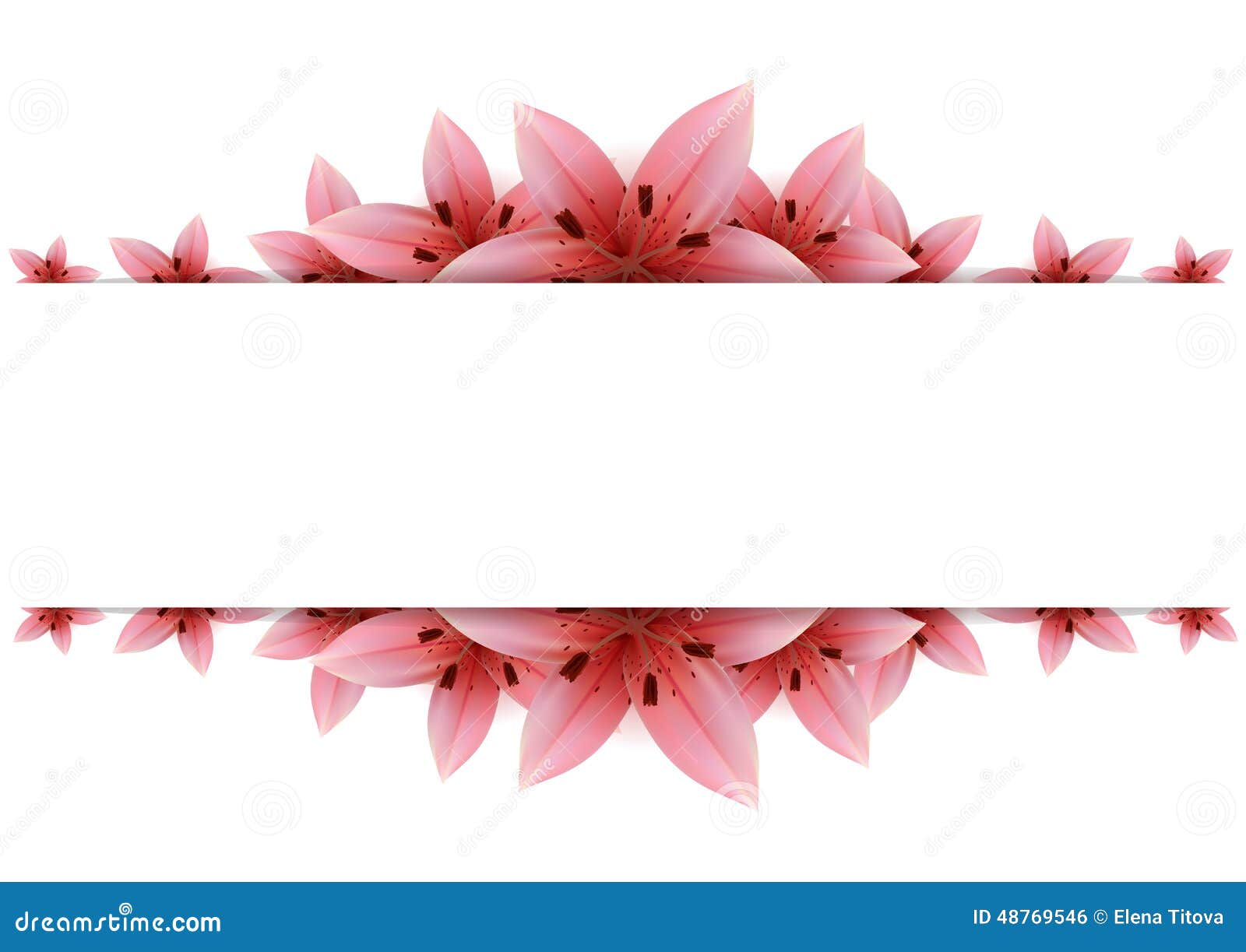 Lily Banner stock vector. Illustration of nature, background - 48769546