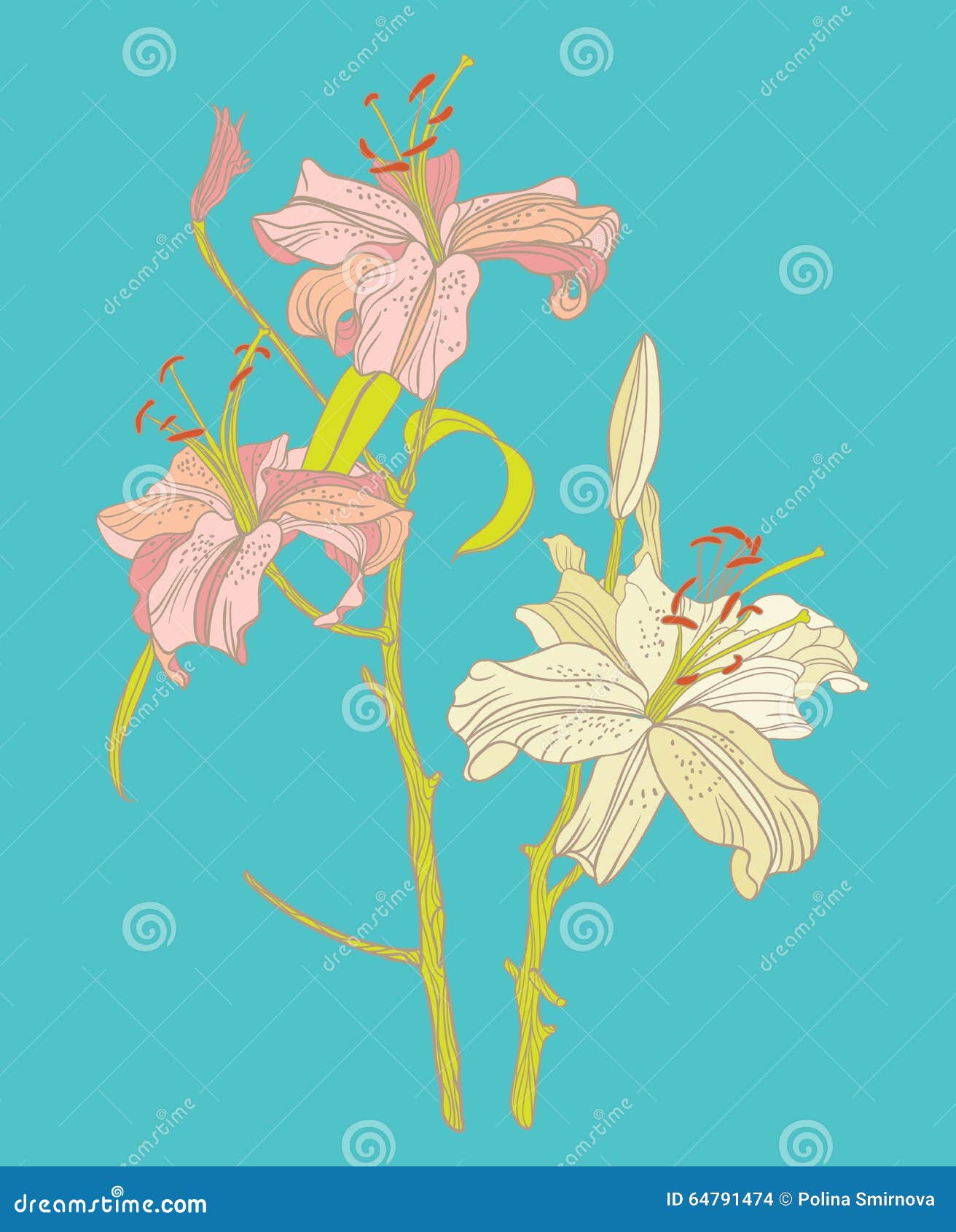 Lily on Blue Background stock vector. Illustration of element 64791474
