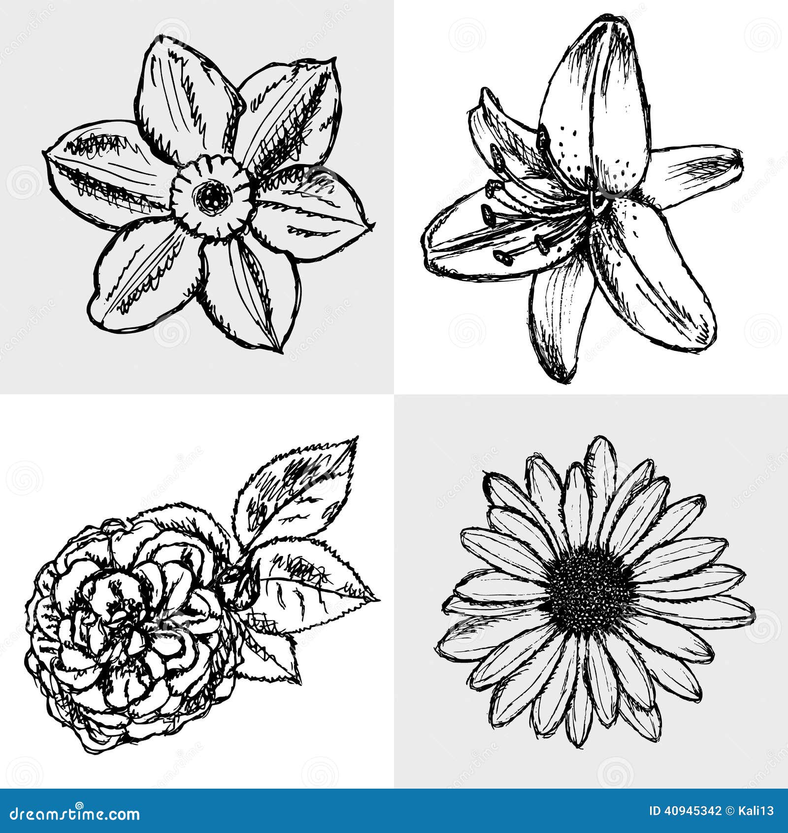 Lily, Daisy and Rose, Narcissus Sketch, Seamless Pattern Stock