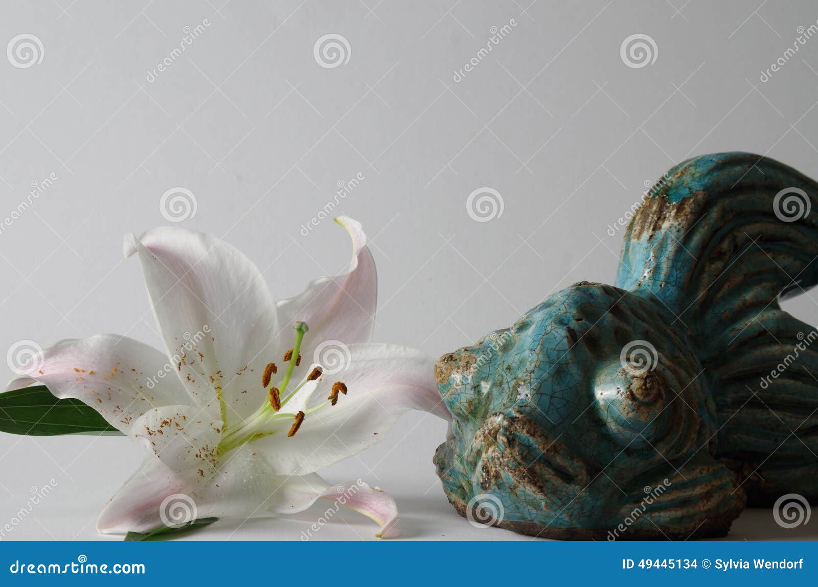 Lily and fish stock photo. Image of flower, budha, close 49445134