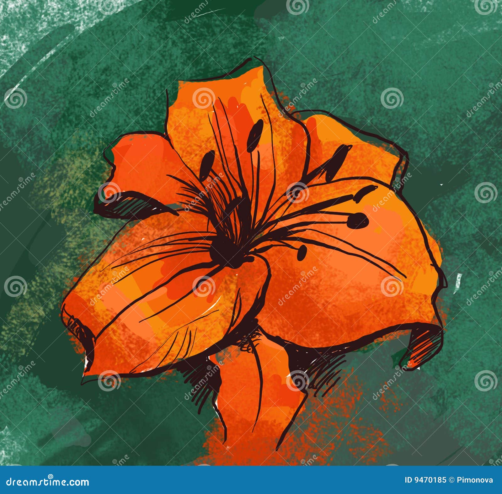 Lily Flower Plant Cartoon Vector 66113561