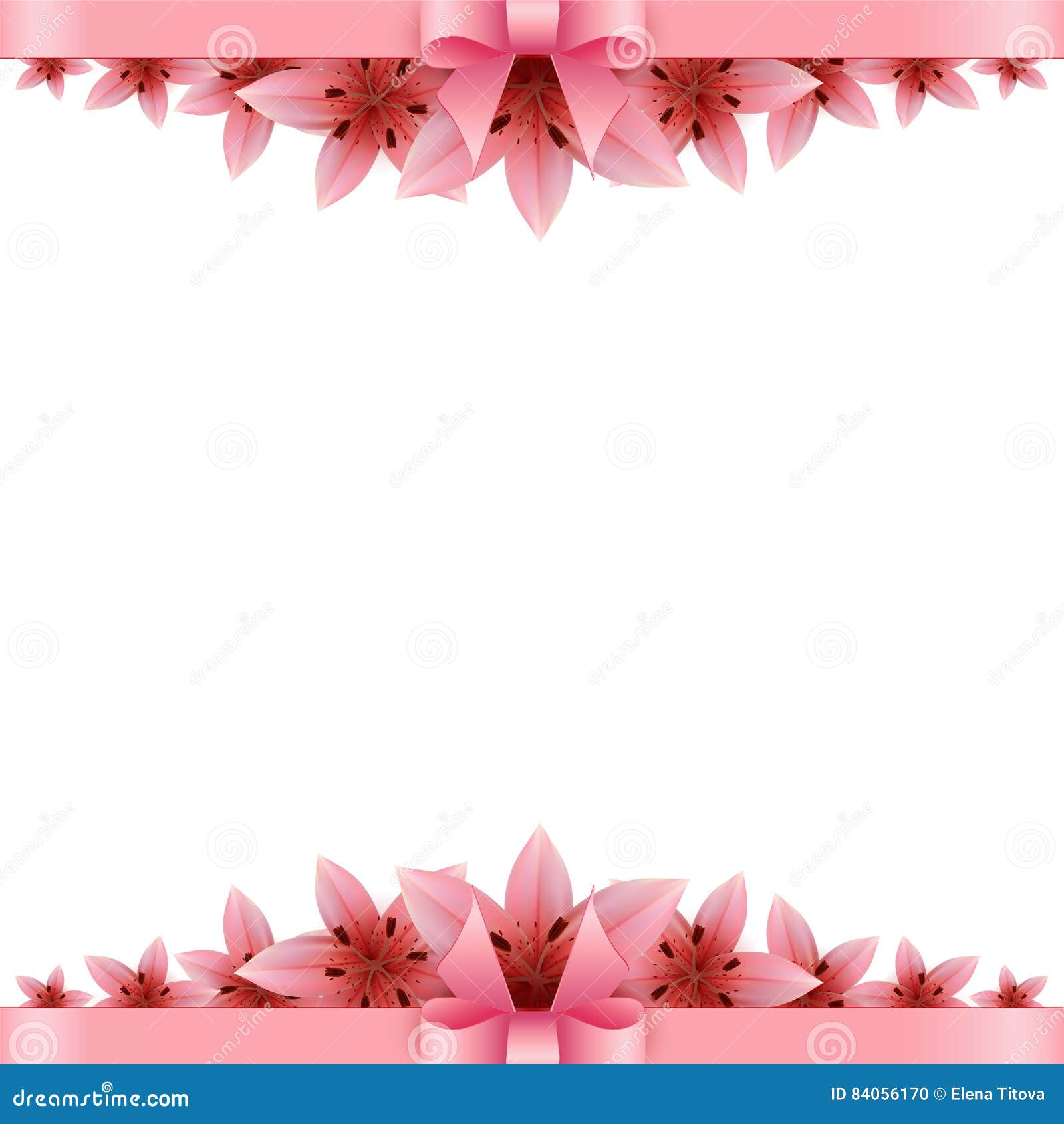Lily Flower Banner with Pink Bow on a White Background Stock Vector