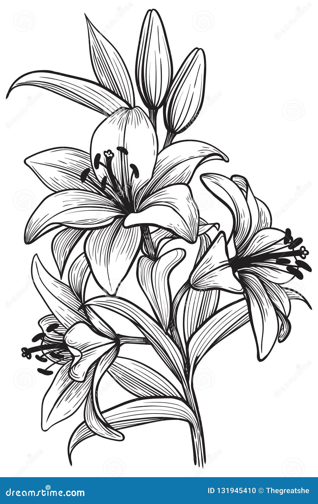 Creation Floral Rideaux Lily Flowers Sketch Création 