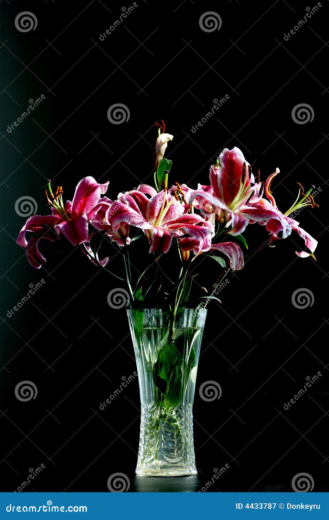 Lily flower in glass vase stock image. Image of wishing 4433787