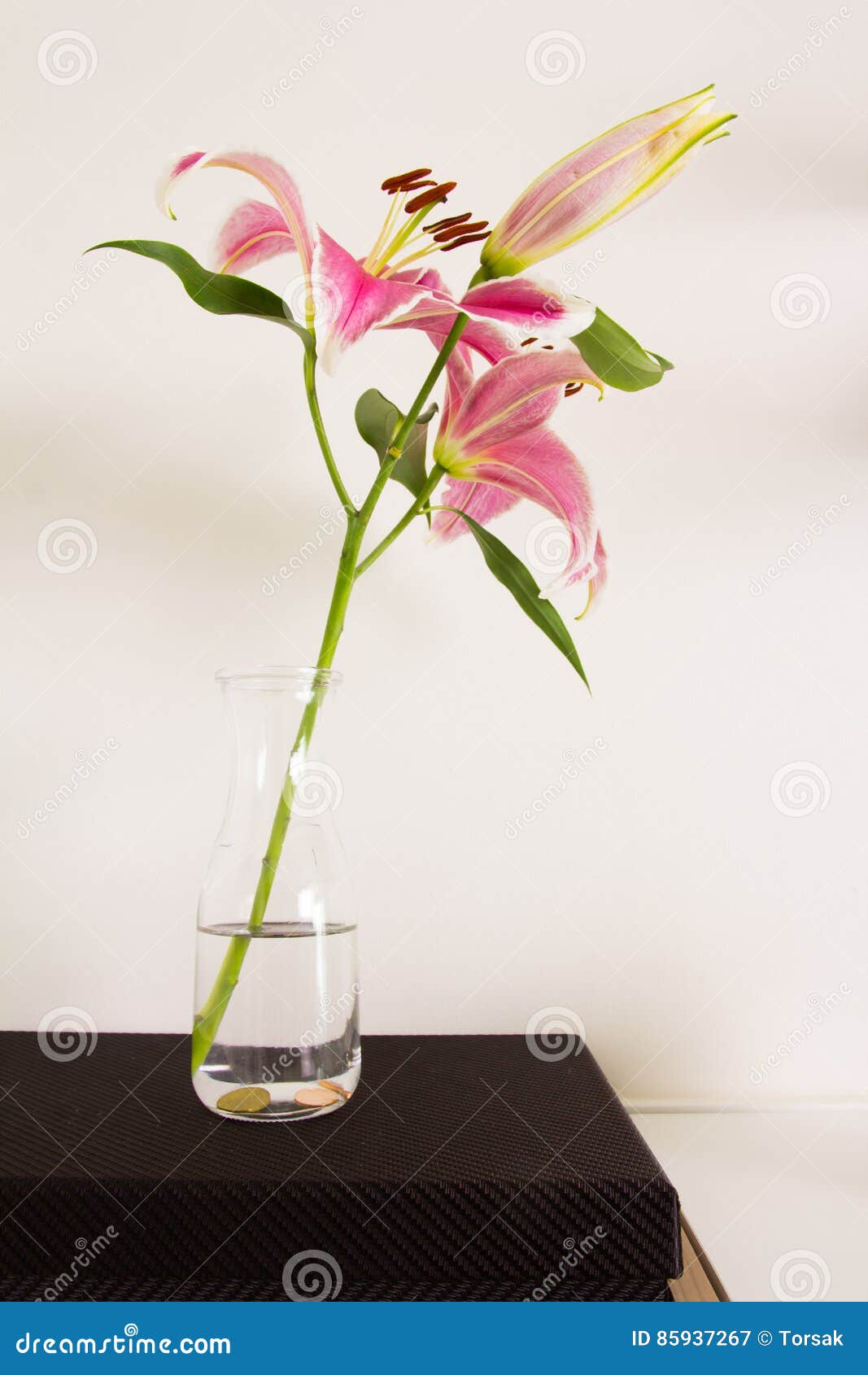Lily flower stock image. Image of flowerpot, blossom 85937267