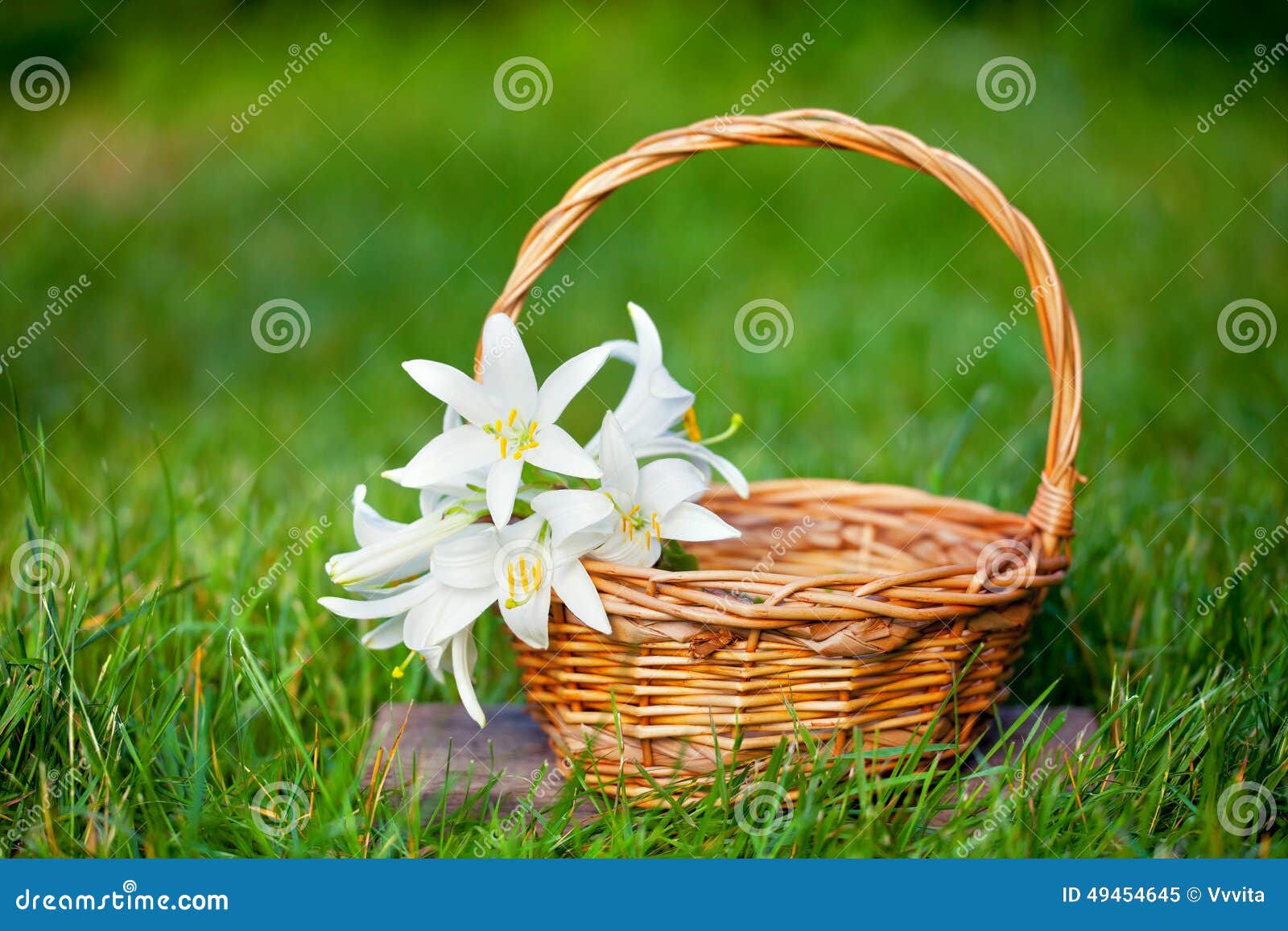 Lily flowers in a basket stock image. Image of green 49454645