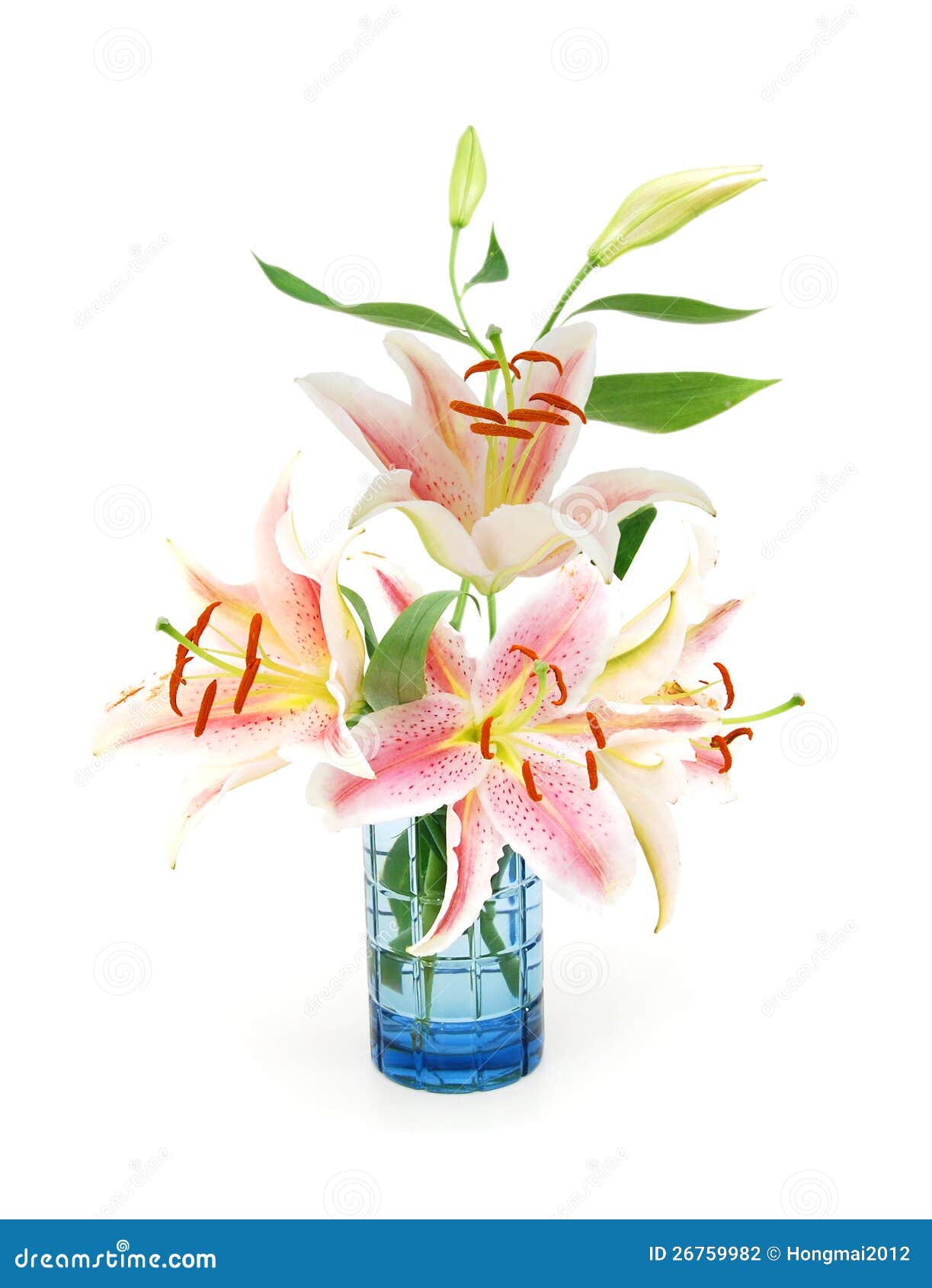 Lily flowers vase stock photo. Image of botany, fresh 26759982