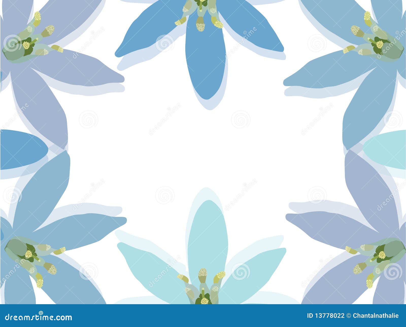Lily frame stock vector. Illustration of figure, bouquet 13778022