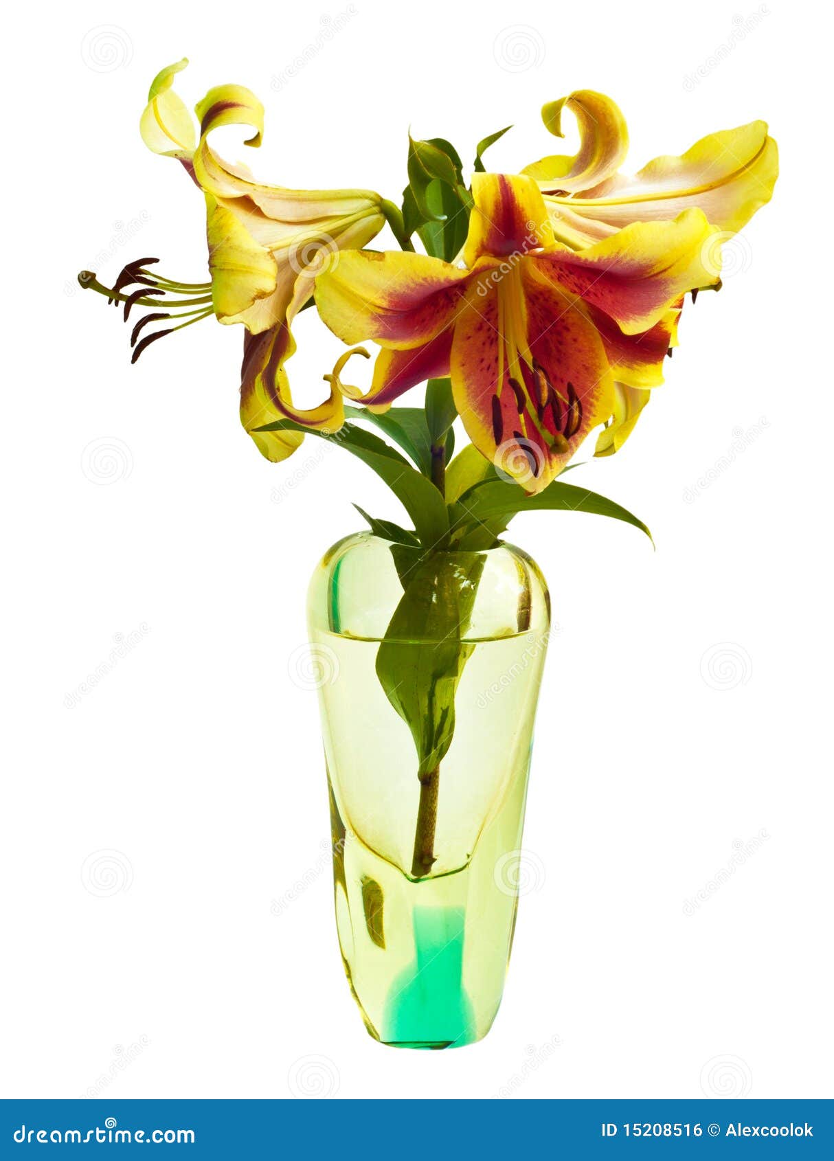 Lily in a glass vase stock photo. Image of happy, flower 15208516