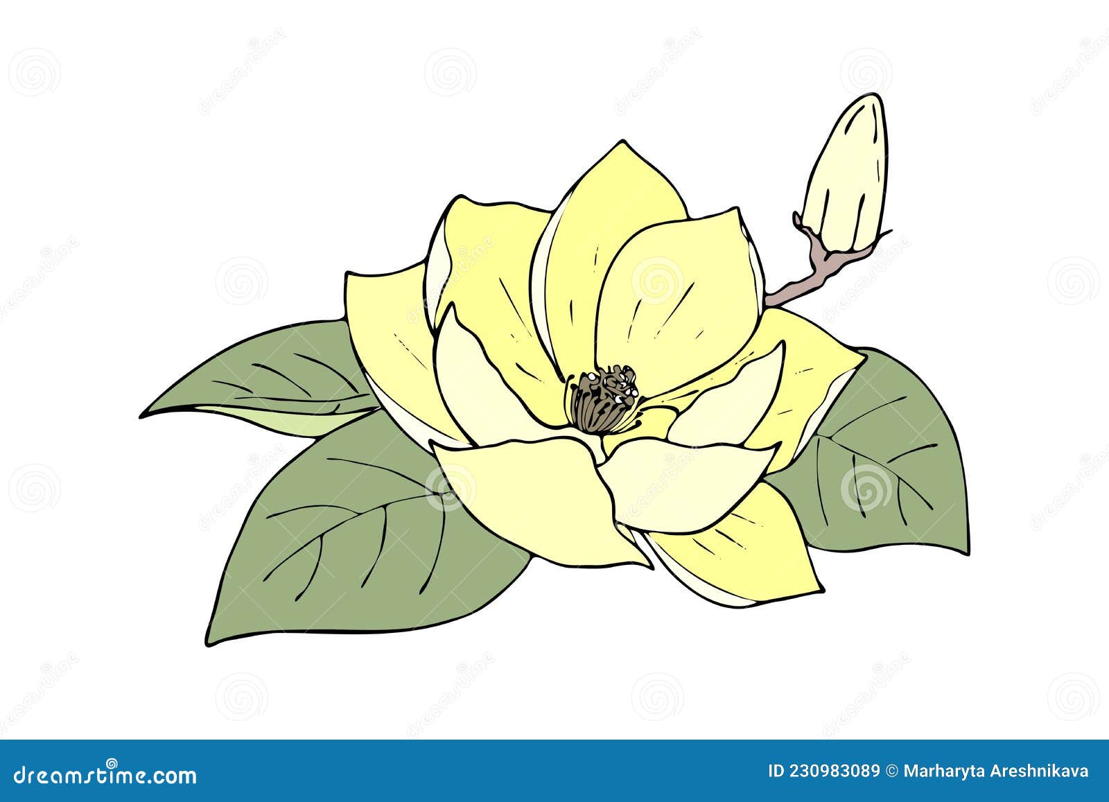Blossom Of Magnolia. Hand Draw Sketch. Outline Bunch Of Flowers And Leaves  Isolated On The White Background. Floral Element Design For Wedding,  Greeting, Inviting Cards, Black And White. Vector Royalty Free SVG,