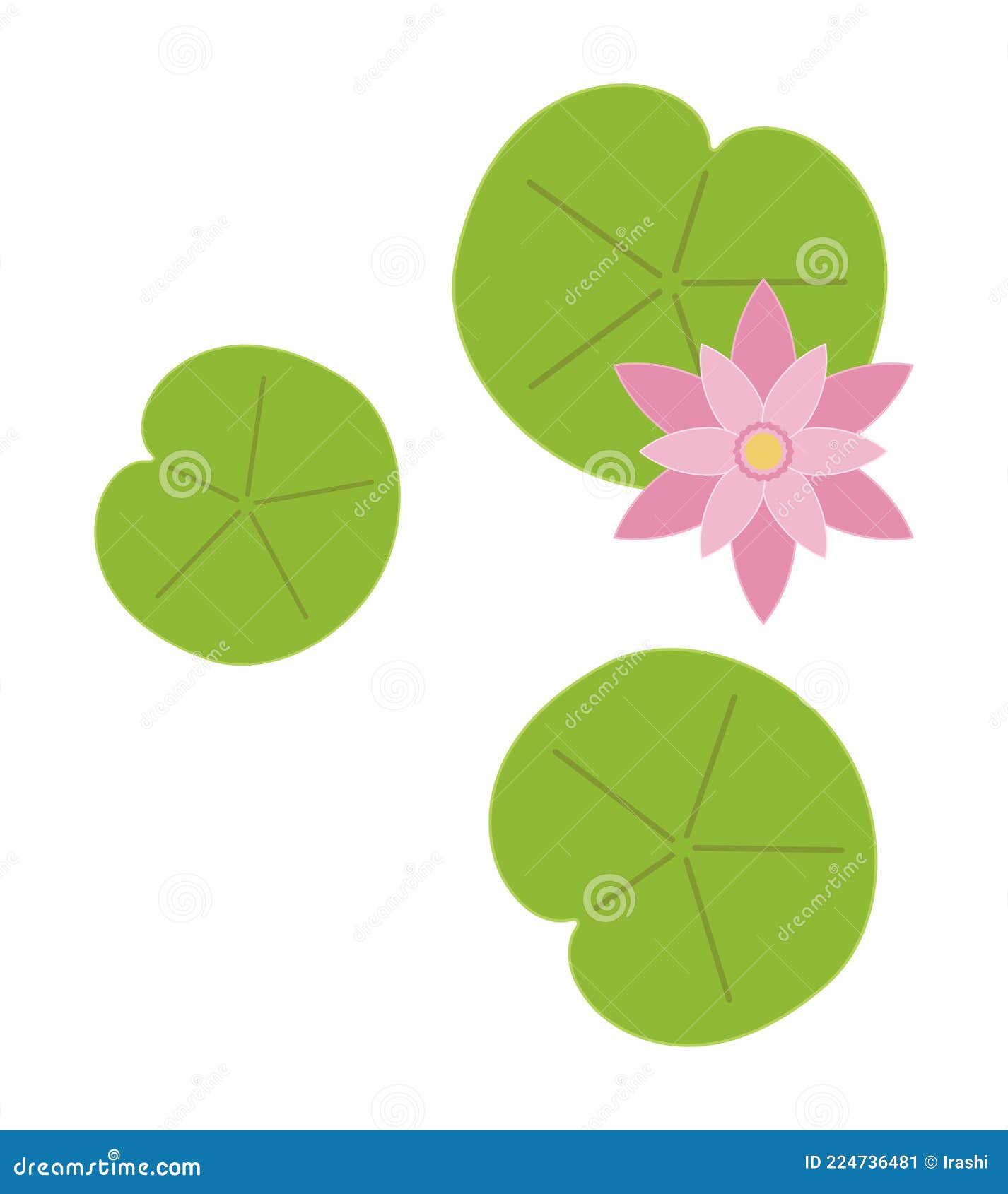 Lily pad leaf flower stock vector. Illustration of bloom - 224736481