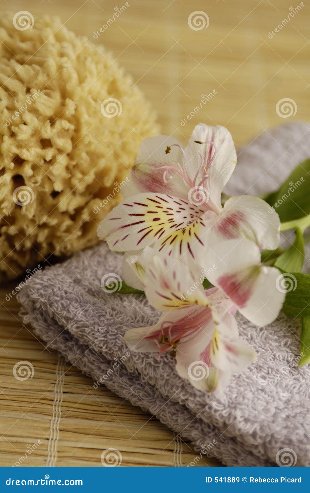 Lily Spa stock image. Image of herbs, massage, beautyfarm 541889