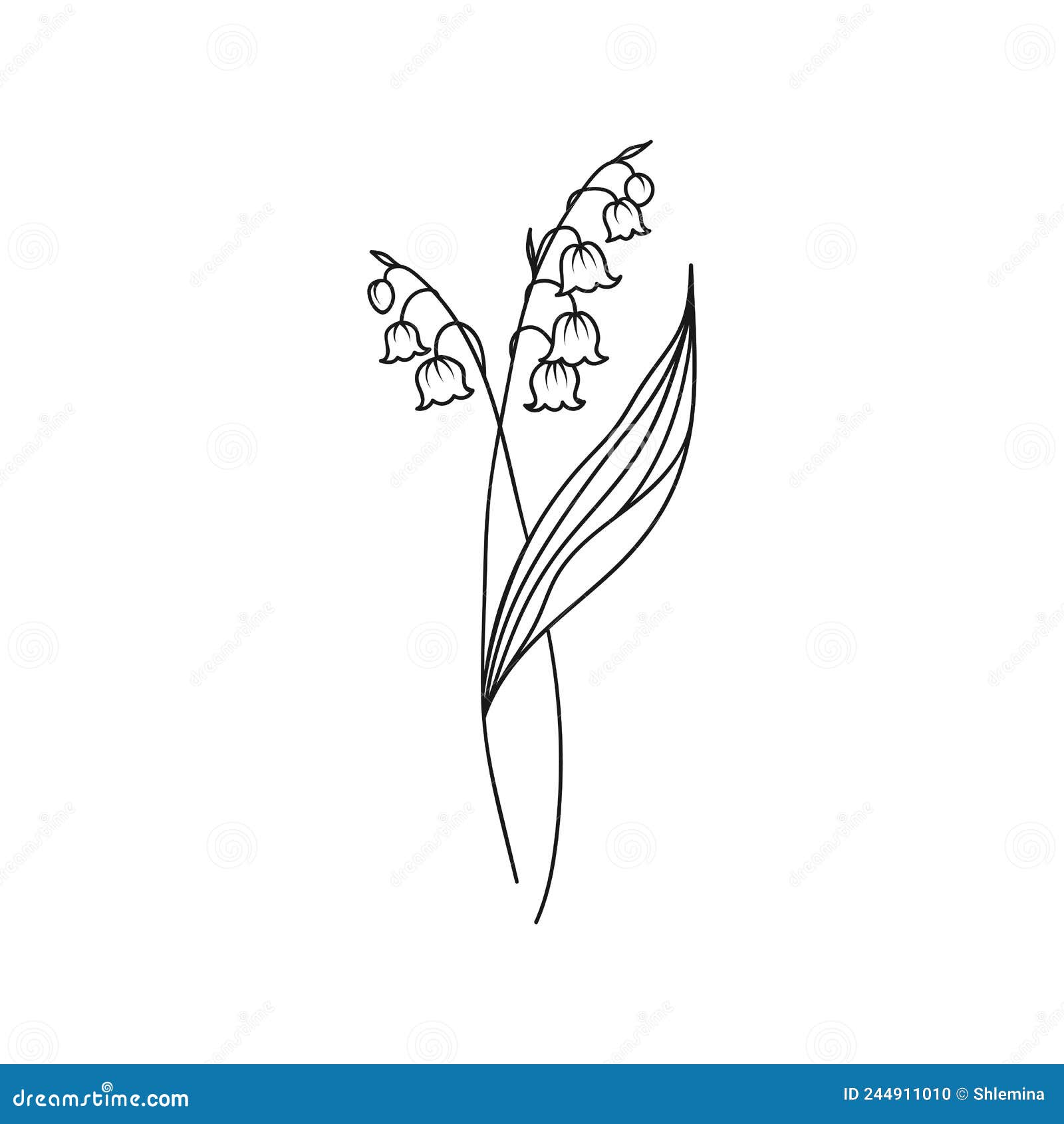 Lily of the Valley Tattoo Meaning and 10 Lovely Ideas Blush #16 Lily of the Valley Tattoo Meaning and 10 Lovely Ideas Blush