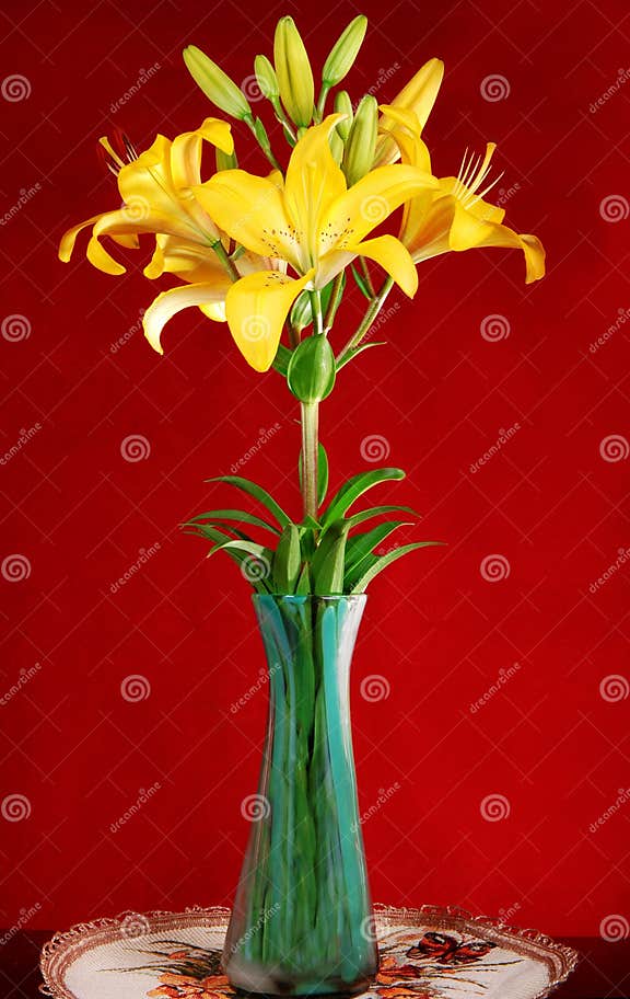 Lily in vase stock image. Image of softness, growth, close 20101307