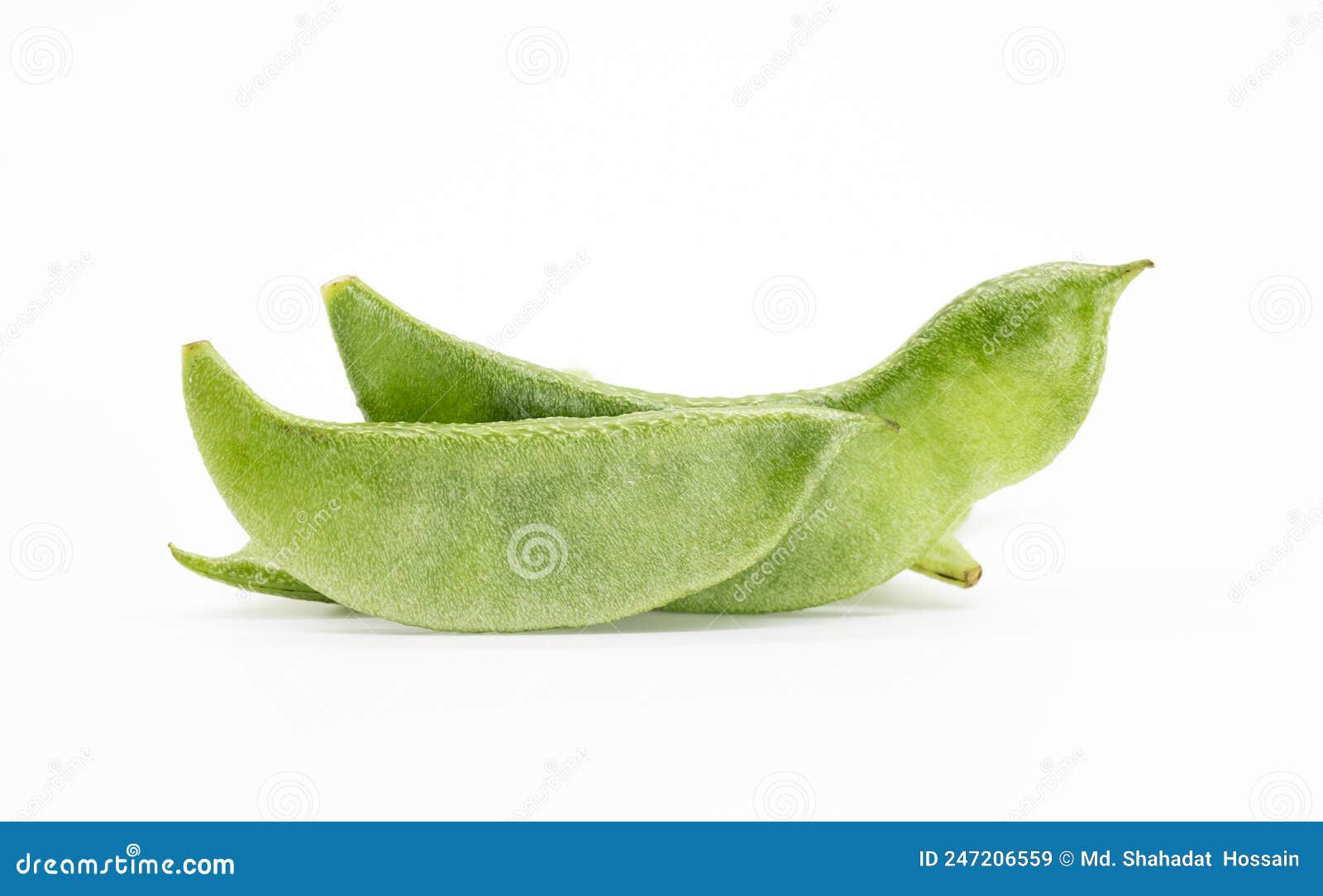 Lima Beans Ou Hyacinth Beans Isoler Sur Fond Blanc Image stock Image