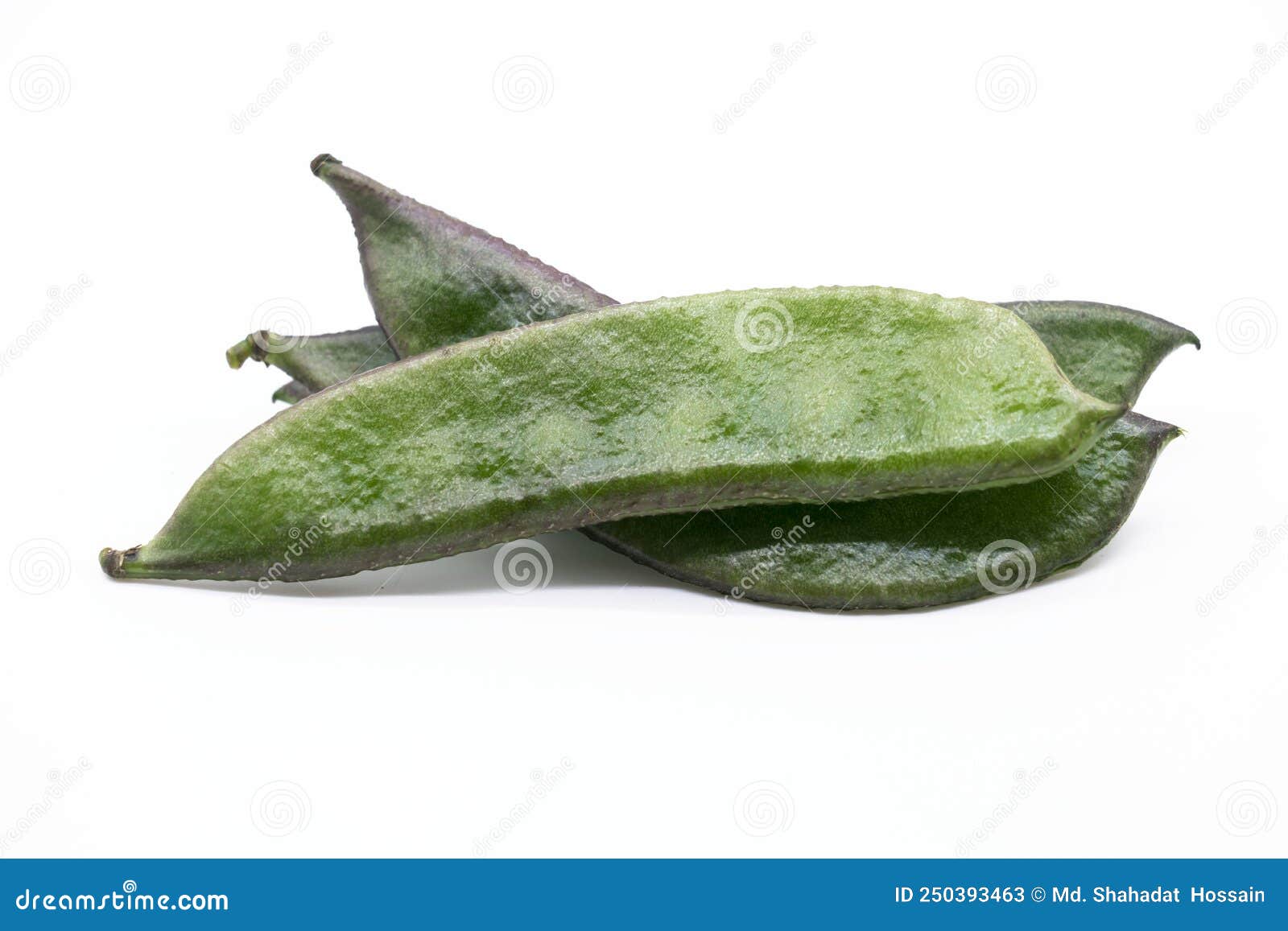 lima beans or sheem isolate on white