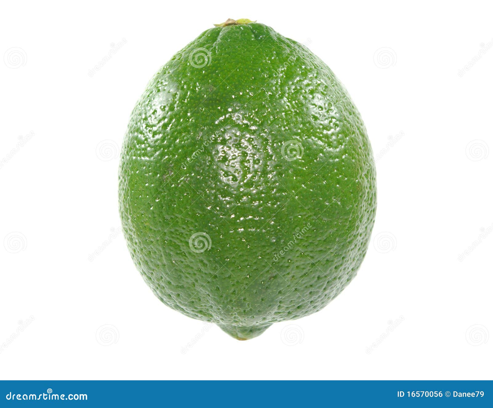 Lime stock photo. Image of white, healthy, lime, food 16570056