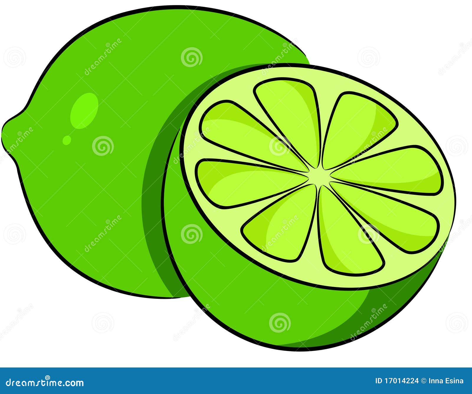 Lime Stock Images - Image: 17014224