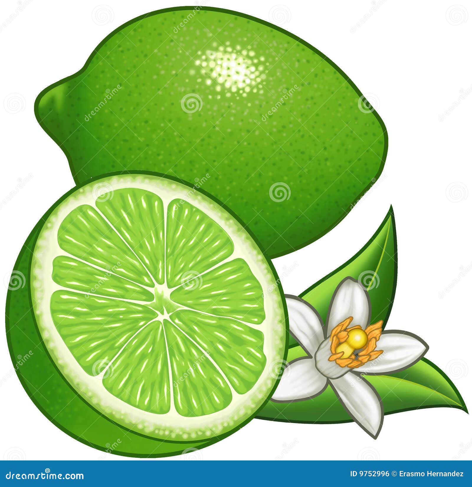 lime