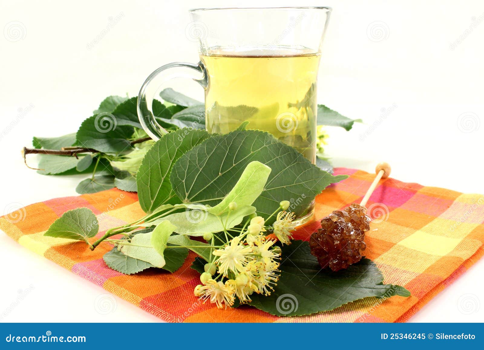 Lime blossom tea stock image. Image of relaxation, lime 25346245