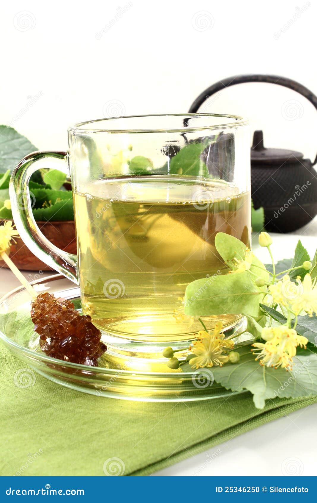 Lime blossom tea stock photo. Image of healing, plants 25346250