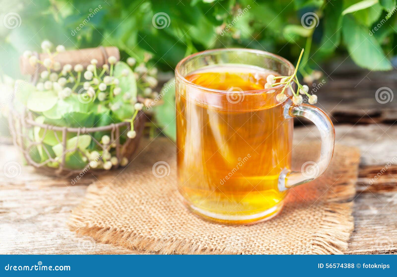 Lime blossom tea stock photo. Image of health, jute, lime 56574388