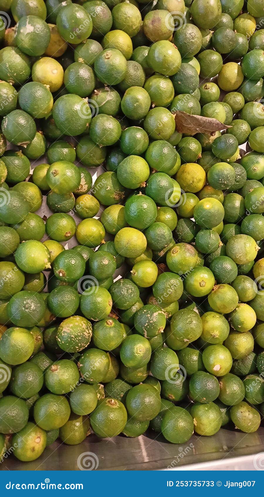 Lime Calamansi Topical Fruit Photo Stock Image - Image of fruitabfor ...